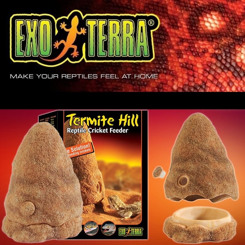 Comedouro para Répteis e Alimento vivo