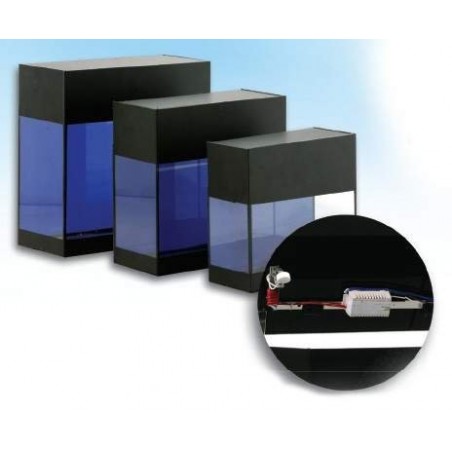 Aquaterrário com Plataforma