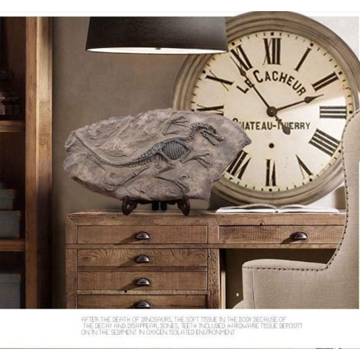 Fóssil Tiranossauro Rex