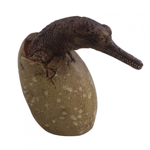 Gavial - Crocodilo no Ovo - Réplica Répteis