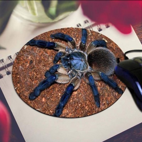 Mouse Pad - Animais Exóticos