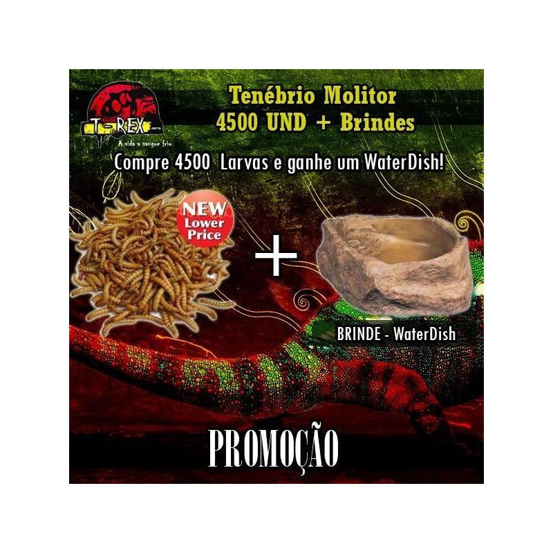 4500 Larvas Tenébrio Molitor