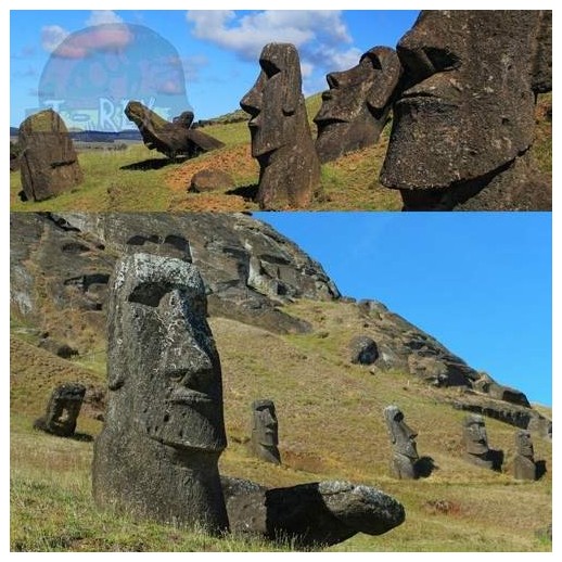 Estátuas da Ilha de Páscoa | Terrário | Decoração