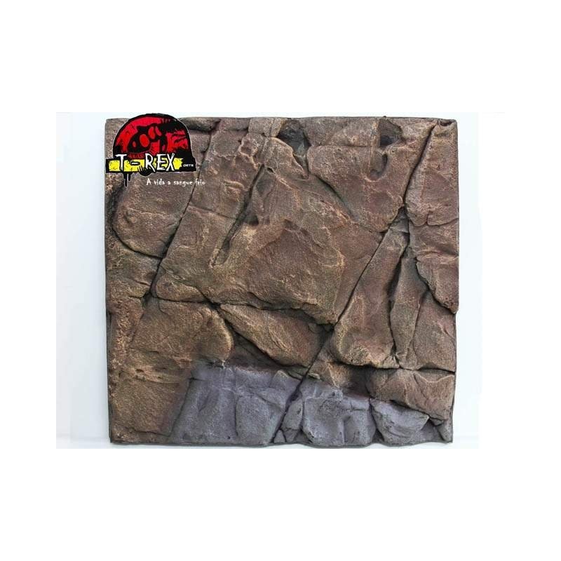 Background Rochoso 3d  Repteis | Iguana