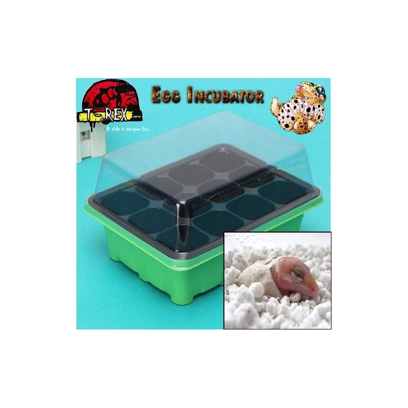 Bandeja de Incubação G 12 ovos | Terrário