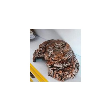 toca grande para jabuti