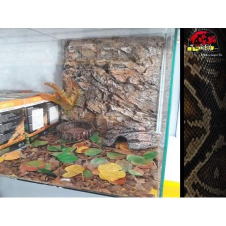 Mini-Habitat Floresta 