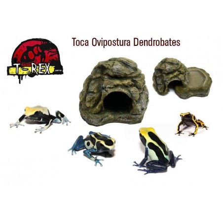 Toca Ovipostura Dendrobates
