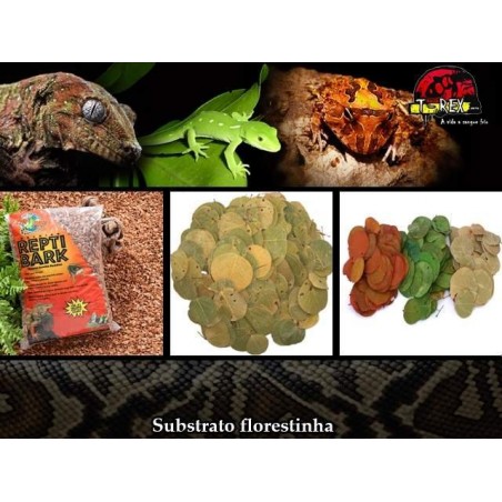 Kit Floresta - ReptiBark e Folhagens Répteis | Terrário