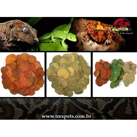 Kit Floresta - ReptiBark e Folhagens Répteis | Terrário