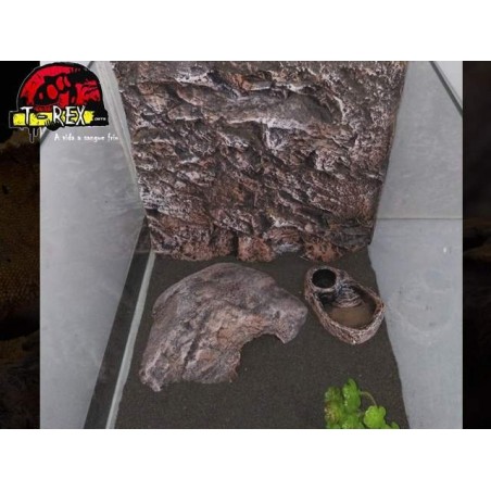 Terrário  |Leopard Gecko | Pogona Baby | Aranhas | Répteis 