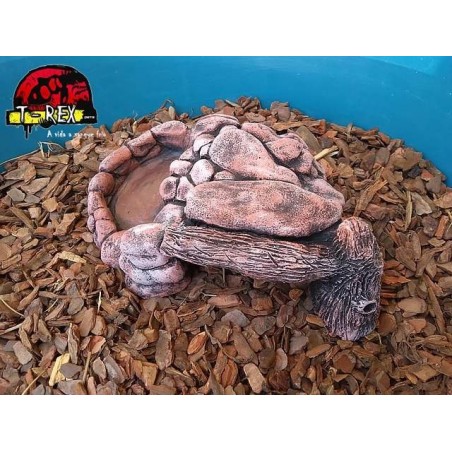 Toca Tronco Terrário | Corn Snake