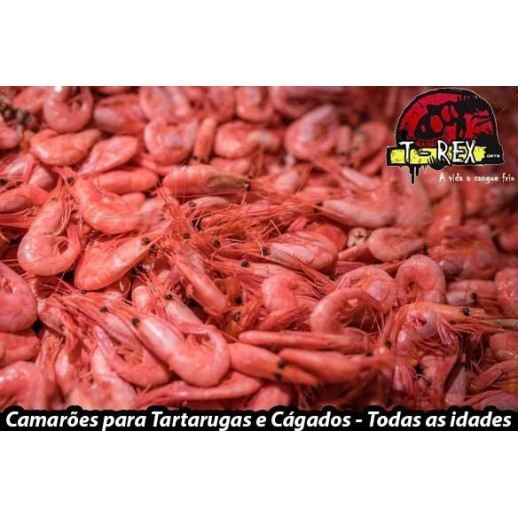 Ração para tartaruga