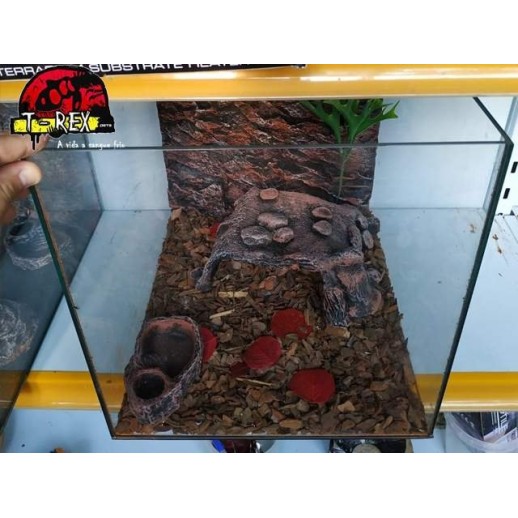 Terrário  |Leopard Gecko | Pogona Baby | Aranhas | Répteis 