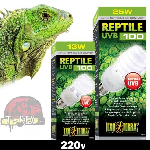 lampadas para iguana em 220v