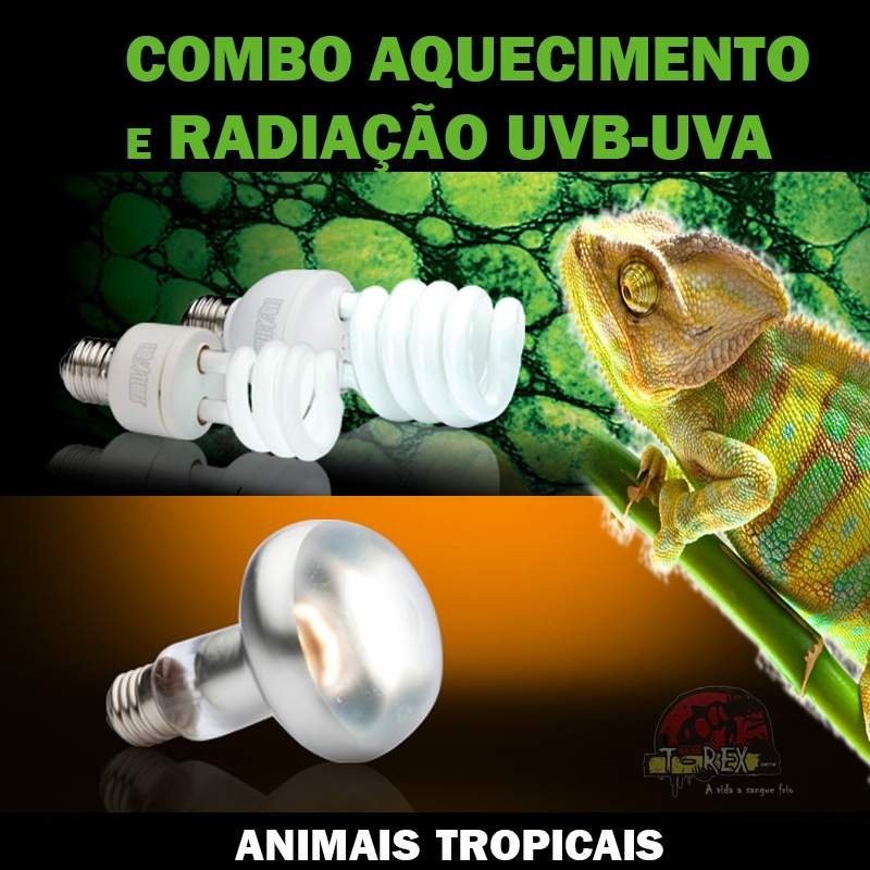 Lampada uvb repteis Lampada uvb repteis
