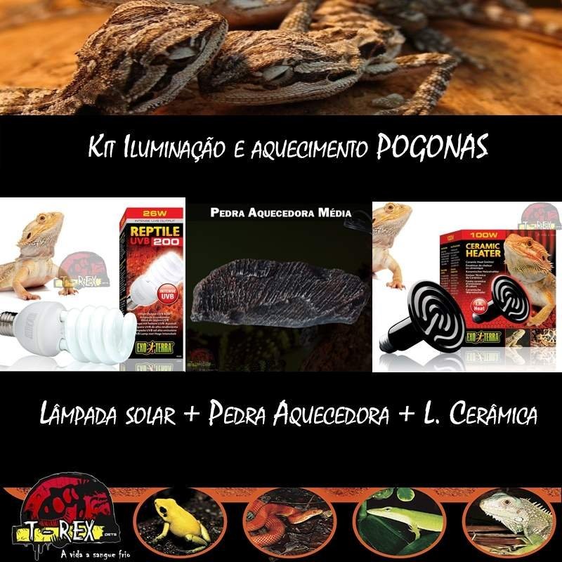 Lâmpada para Répteis Pogona
