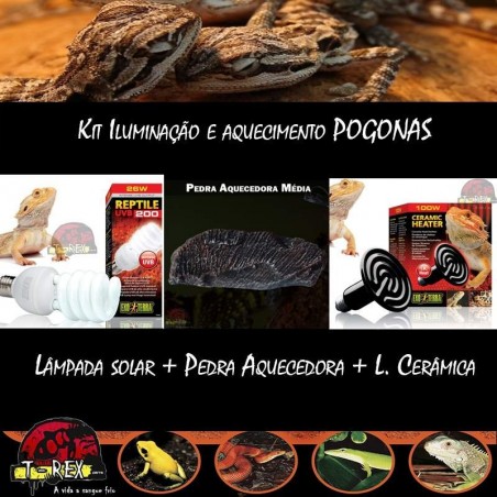 Lâmpada para Répteis Pogona