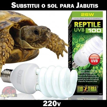 Lâmpada para Jabutis 220v