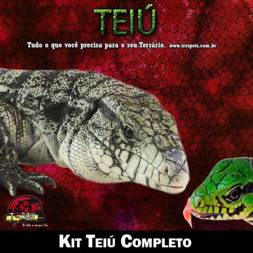 Comprar Lâmpada Teiú