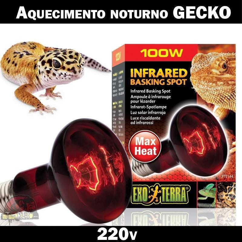 Aquecimento terrario leopard gecko