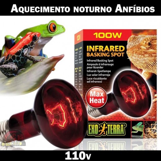 Lâmpada aquecimento anfíbios