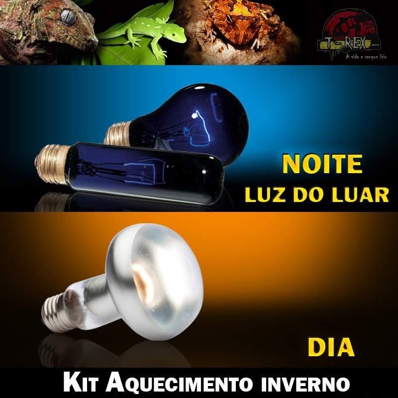 Lâmpada para aquecer répteis jabuti Lâmpada para aquecer répteis jabuti
