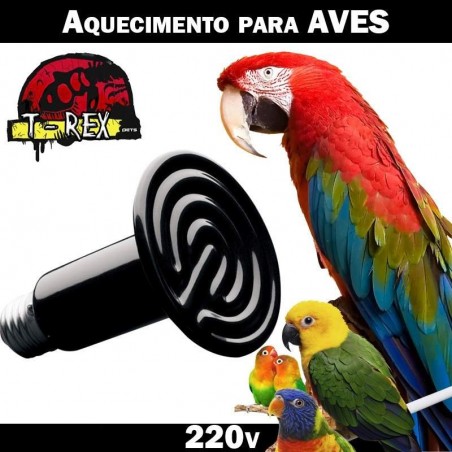 Lampada aquecer viveiro passaros