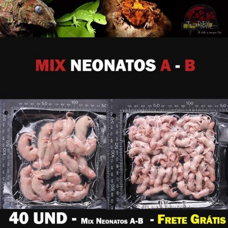 ratinho congelado para cobra