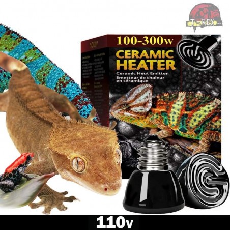 Lâmpada para aquecer répteis jabuti