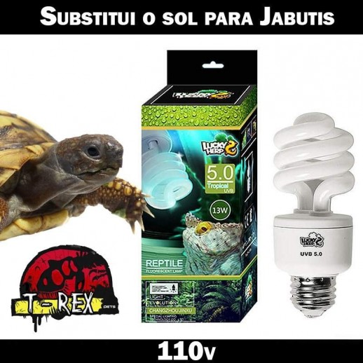 Lâmpada uvb para jabuti