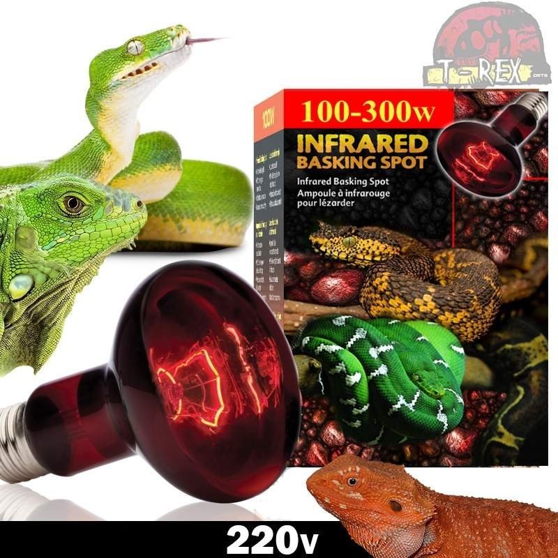 Lampada de aquecimento para repteis