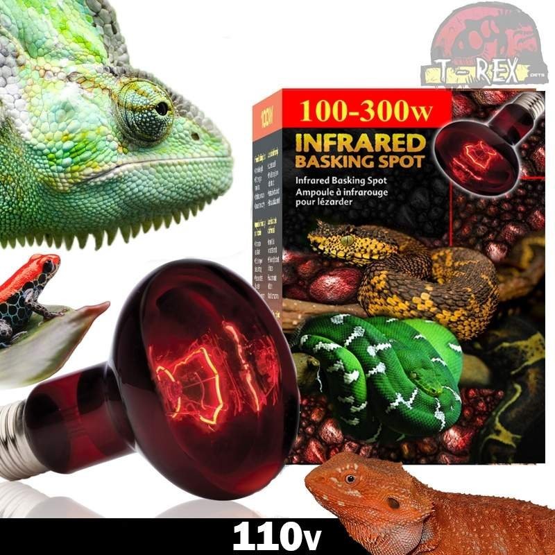 lampada para reptil
