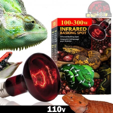 lampada para reptil