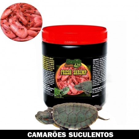 ração camarão para tartaruga
