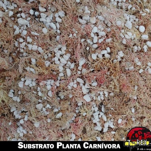 Substrato para Planta Carnívora