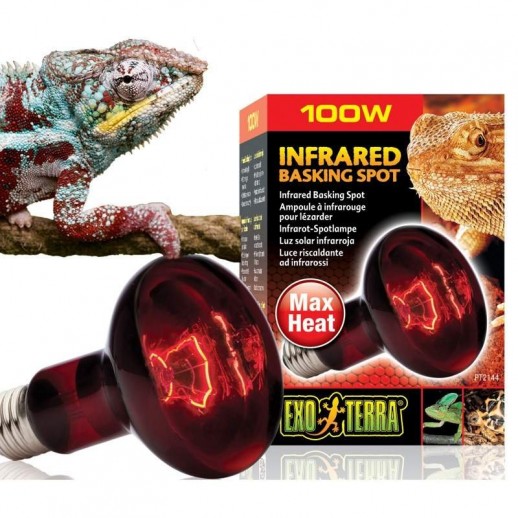 Lampada Répteis - Aquecimento noturno