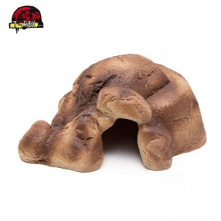 toca para répteis gecko