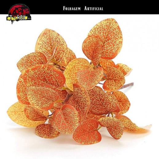 Planta Terrário de Répteis Iguana