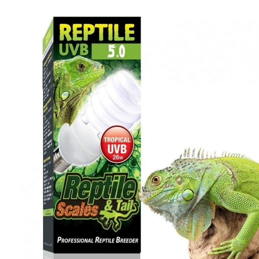 Lâmpada Uvb para Répteis