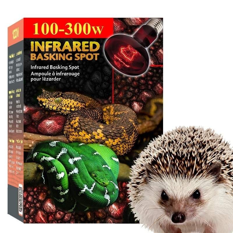 Aquecimento para Hedgehog
