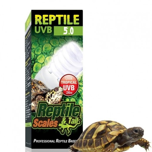 Lâmpada Uva Uvb 5.0 para Tartaruga