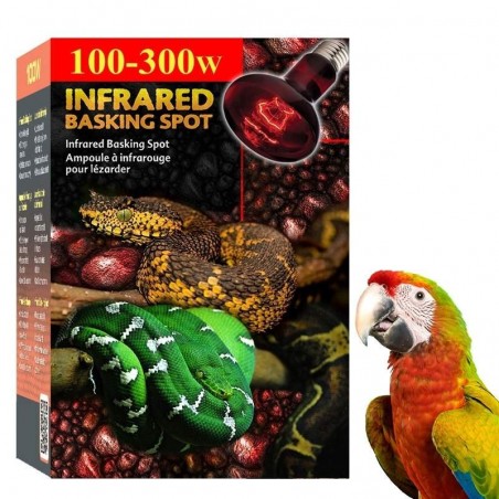 Lâmpada de Aquecimento para Aves