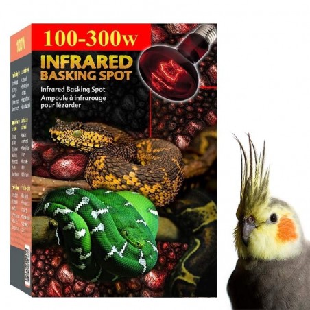 Lâmpada para Aquecer Calopsita