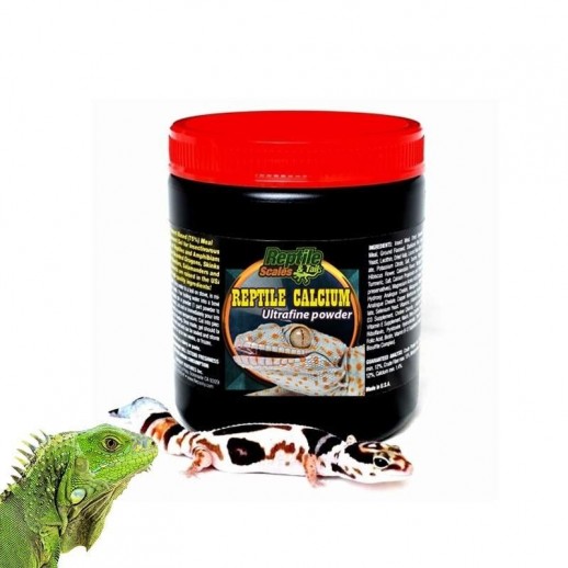 Cálcio para Iguana