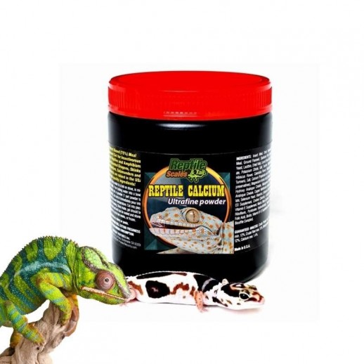 cálcio répteis