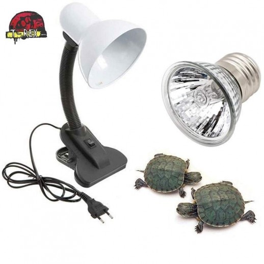 Luminária para répteis