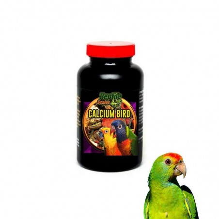 Cálcio de pássaros