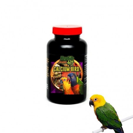 Cálcio para Psitacídeos