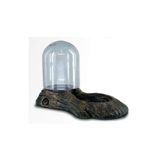 Repti Reservoir Dophin